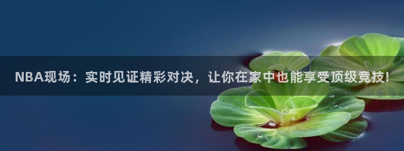 NBA现场：实时见证精彩对决，让你在家中也能享受顶级竞技!