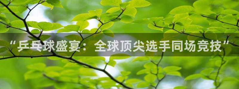 “乒乓球盛宴：全球顶尖选手同场竞技”